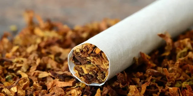 Tobacco kills over 8 million people every year.