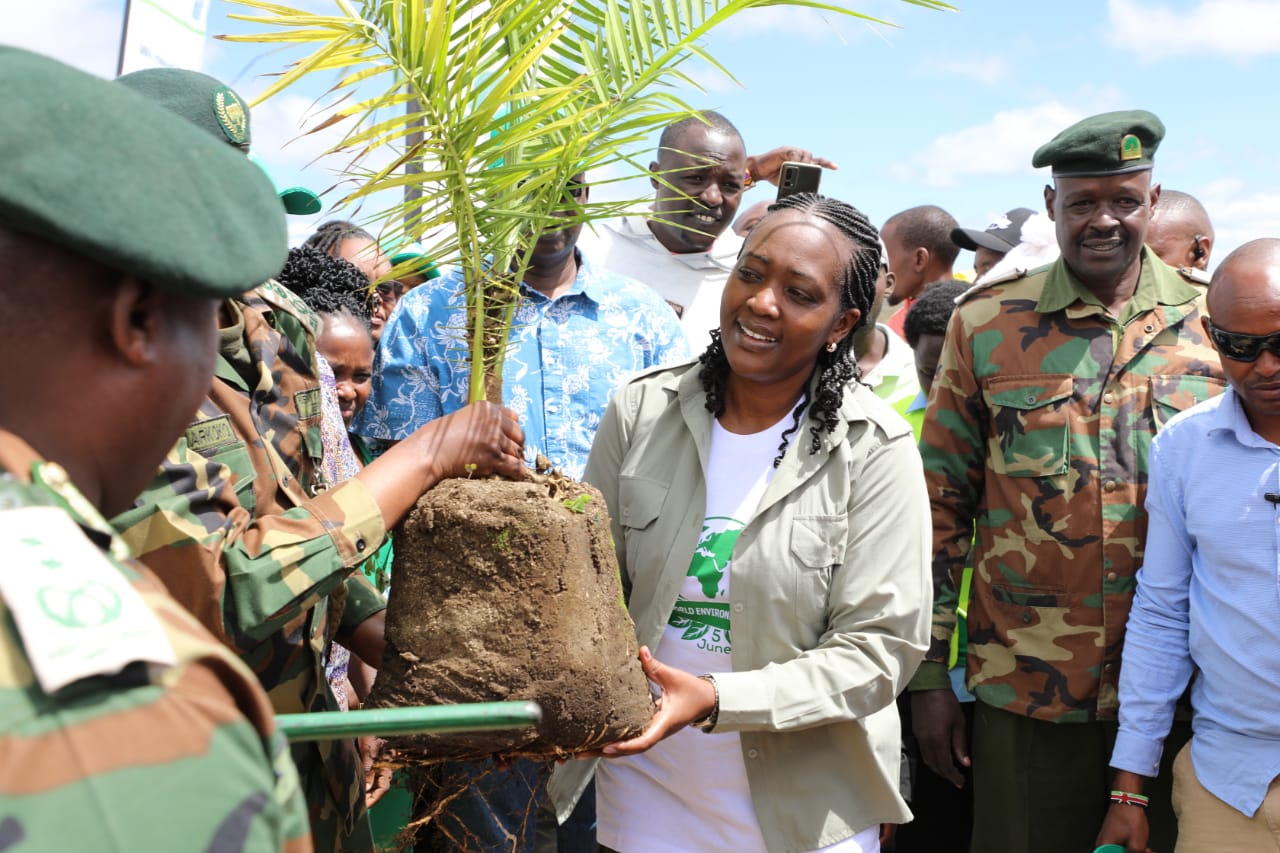 Let’s nurture tree seedlings to maturity, CS Tuya urge Kenyans