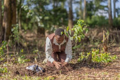 First Lady Rachel Ruto during a tree planting exercise at Kakamega Forest.