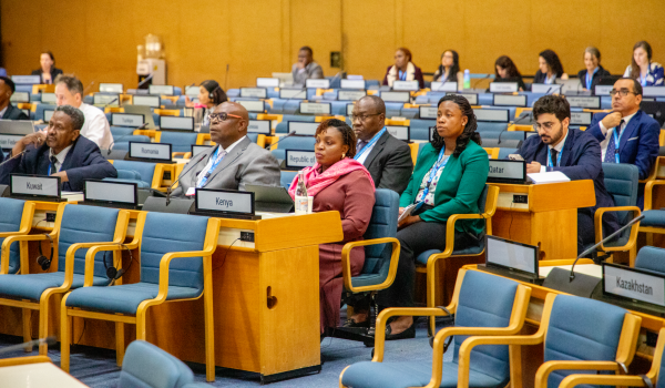Kenya reaffirms commitment to Adequate Housing for All as fundamental human right