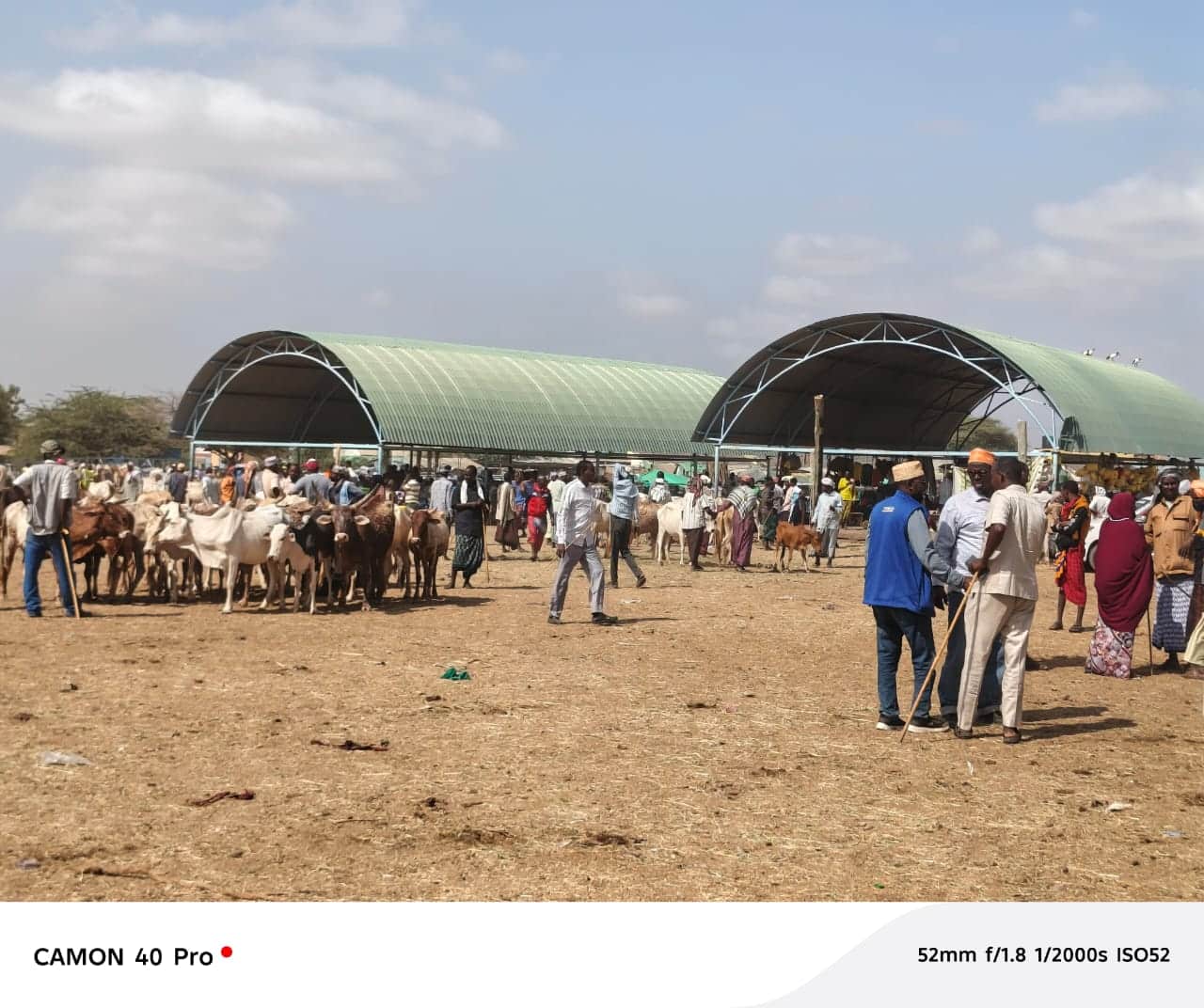 Garissa model livestock market: Residents speak out