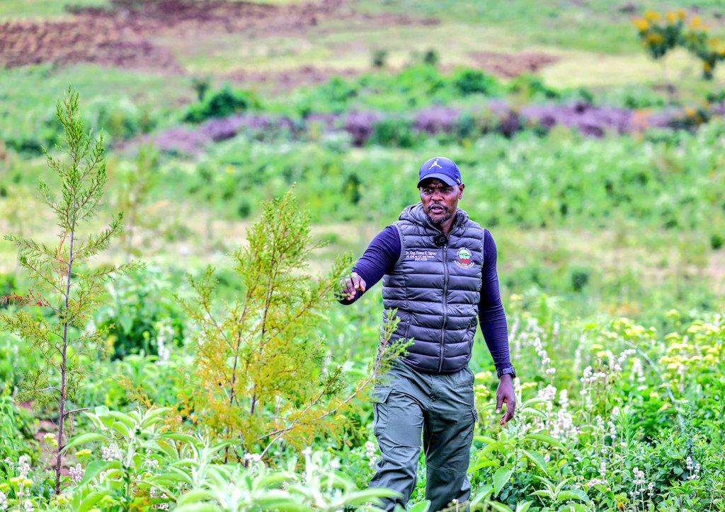 PS Ngeno lauds progress in Mau Forest restoration programme