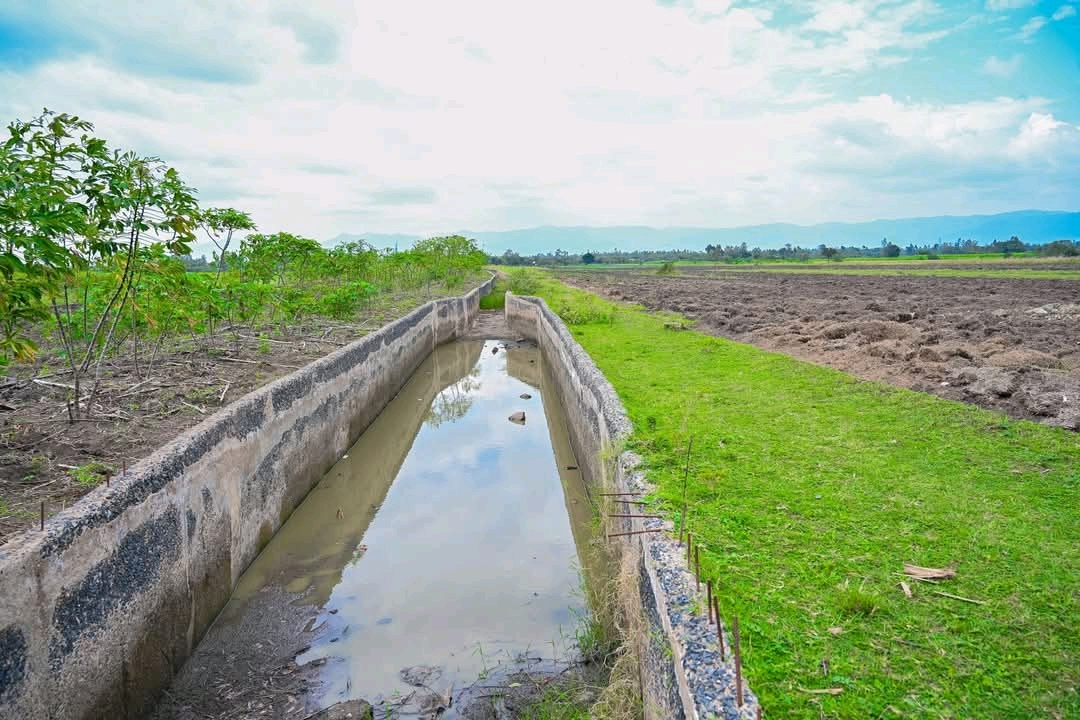 State unveils Ksh 650M irrigation project to boost rice production