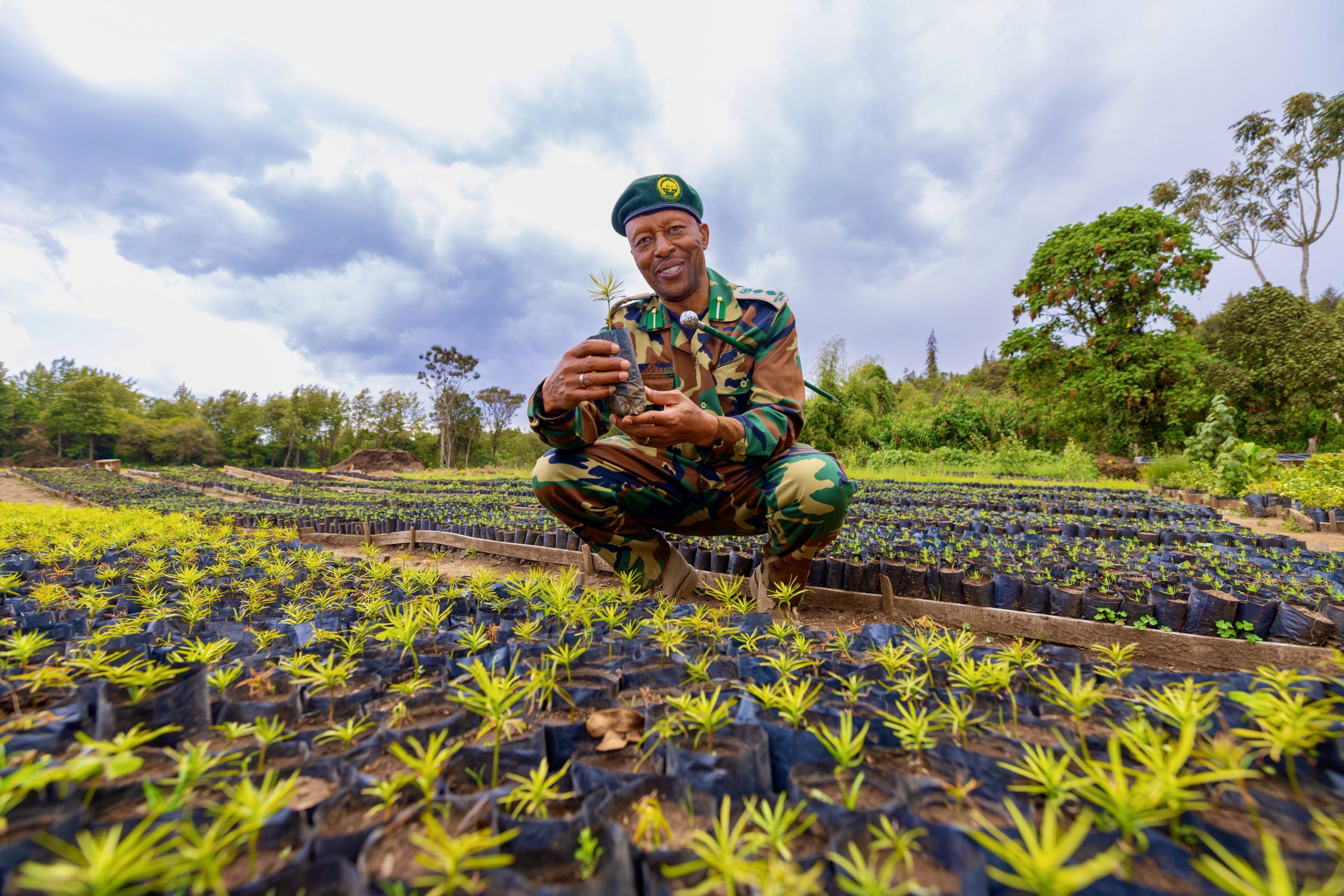 Kinale nursery ramps up to 8M seedlings for Kenya’s 15B tree goal