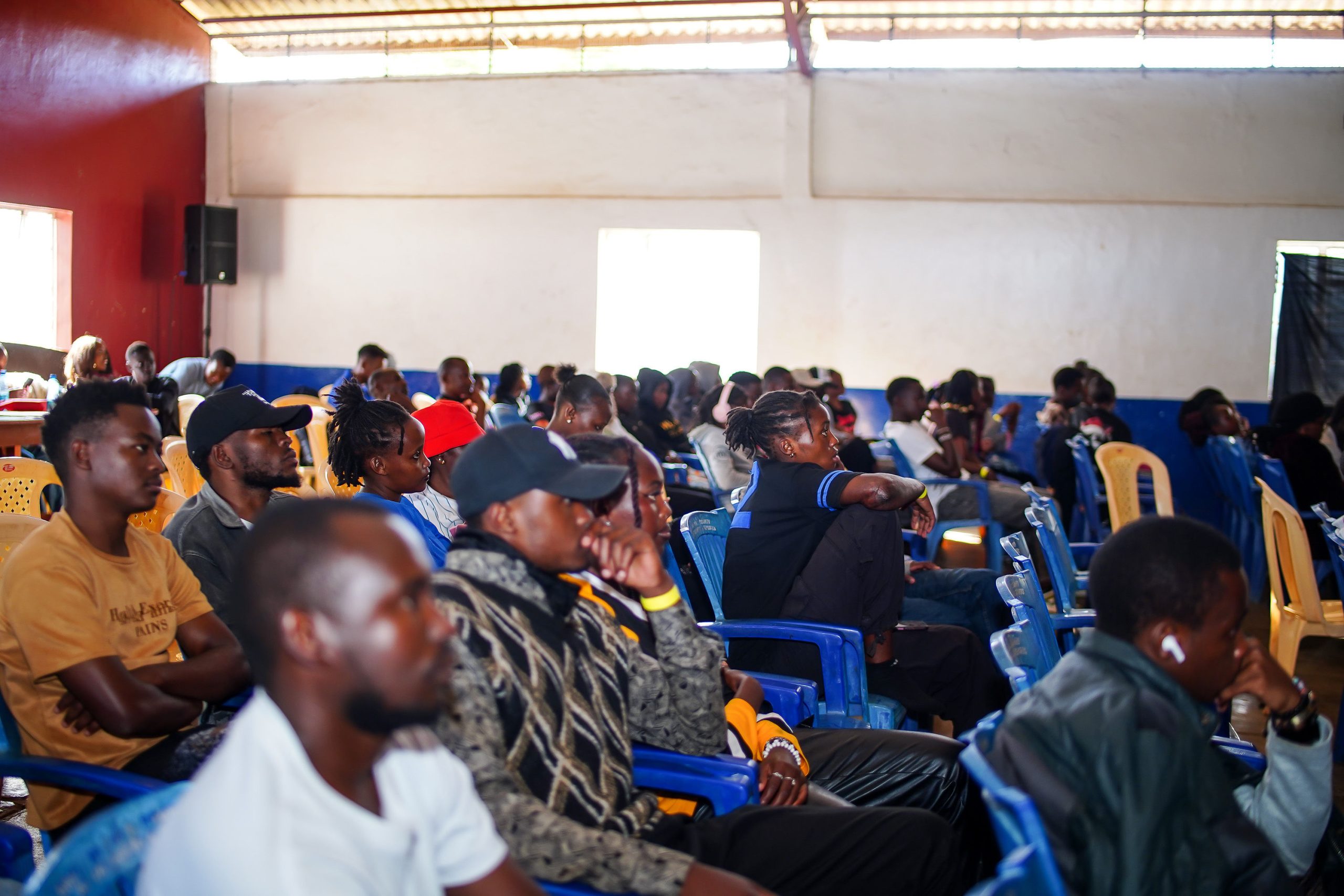 CinemaWave launches with aim of bridging film distribution gap