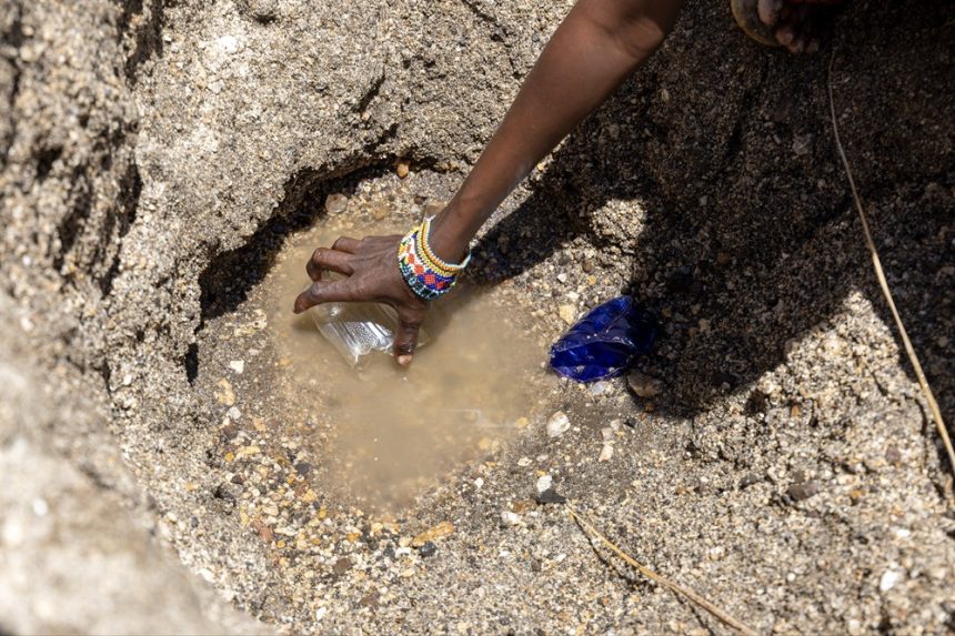 Kwale, Kilifi counties enter recovery phase as drought conditions improve