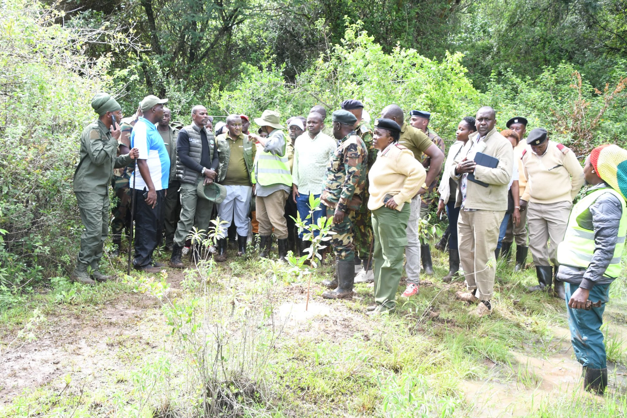 Conservation efforts for Oloolua forest in Ngong intensify