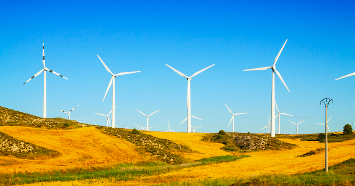 Achieving Green Economy through Innovations and Policies