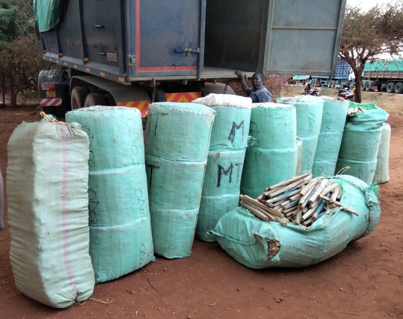 Detectives recover bhang worth Ksh24.7M in Voi