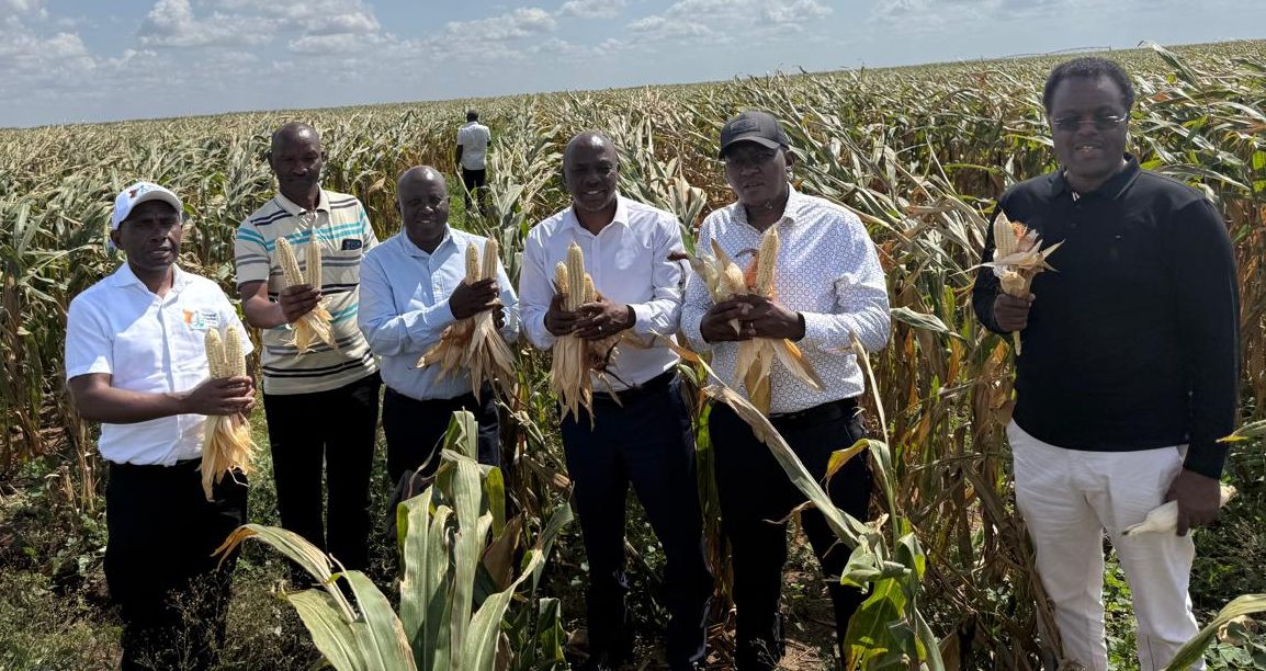 Galana-Kulalu Kenya Food Security Revolution Basket