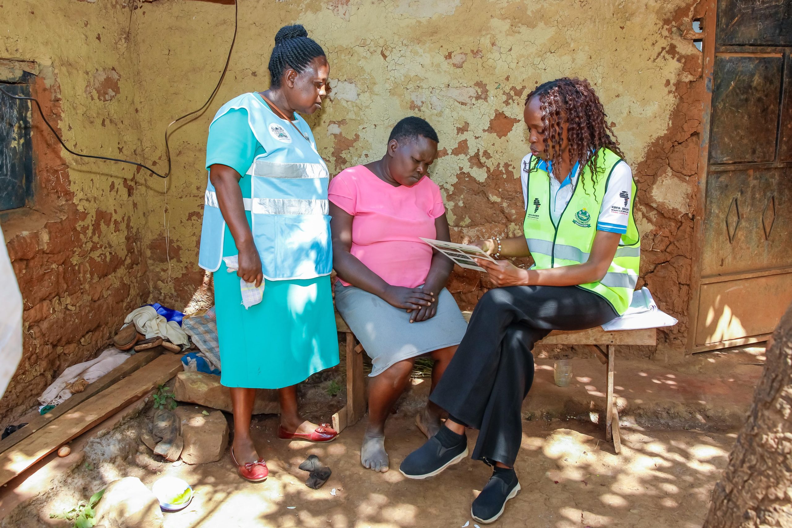 Kirinyaga maps snakebite hotspots to boost local antivenom development