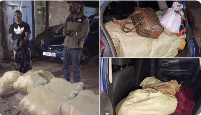 Two arrested, Ksh3.3M Cannabis seized along Eldoret-Nakuru highway