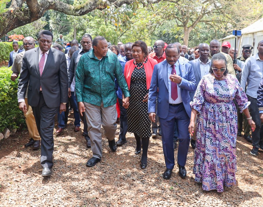 Uhuru calls for protection of democratic freedoms