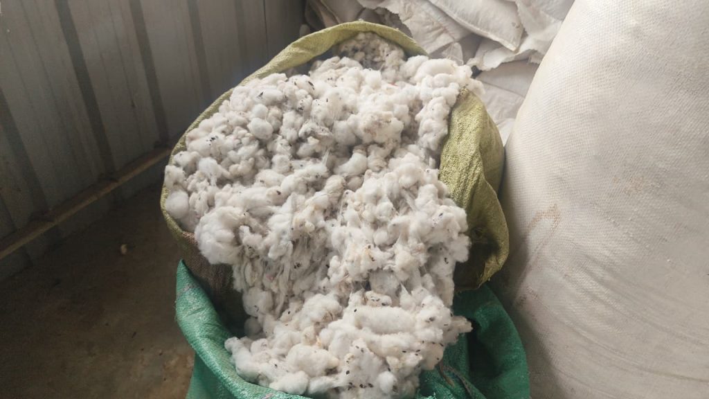 Some of the cotton harvest supplied by farmers to Jairos Farmers' Co-operative Society.