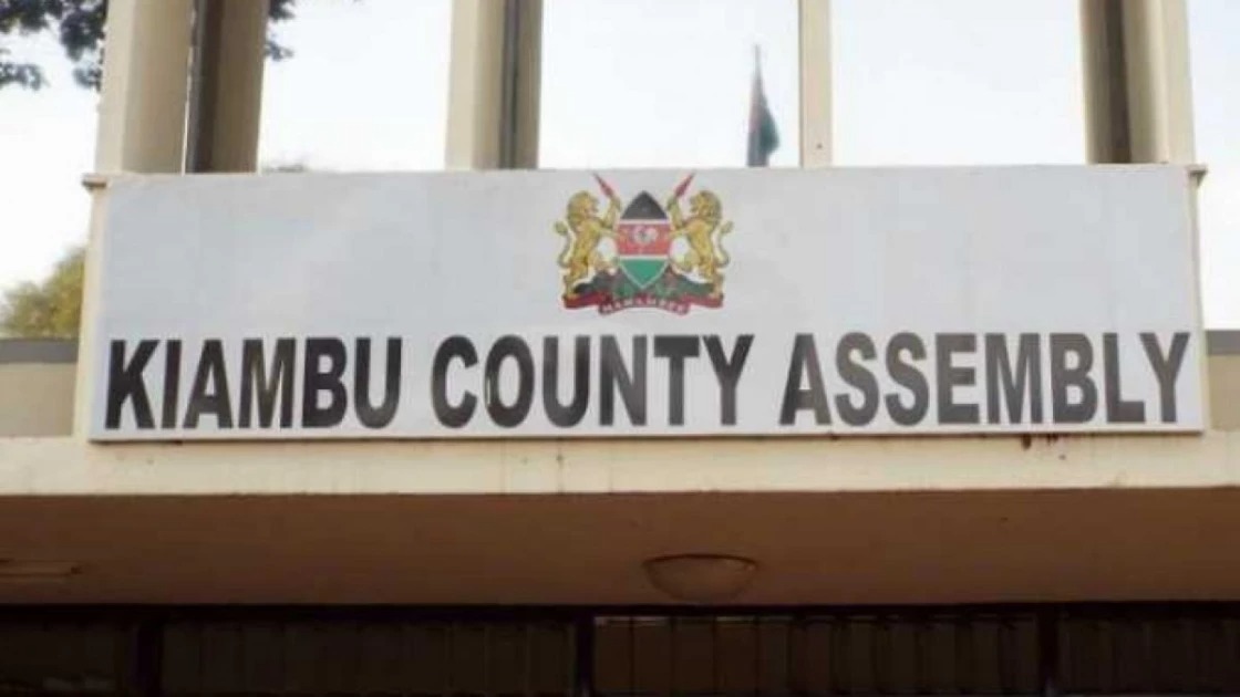 Margaret Njeri Mbugua: Fined Ksh 1.06M for KCSE Certificate Fraud