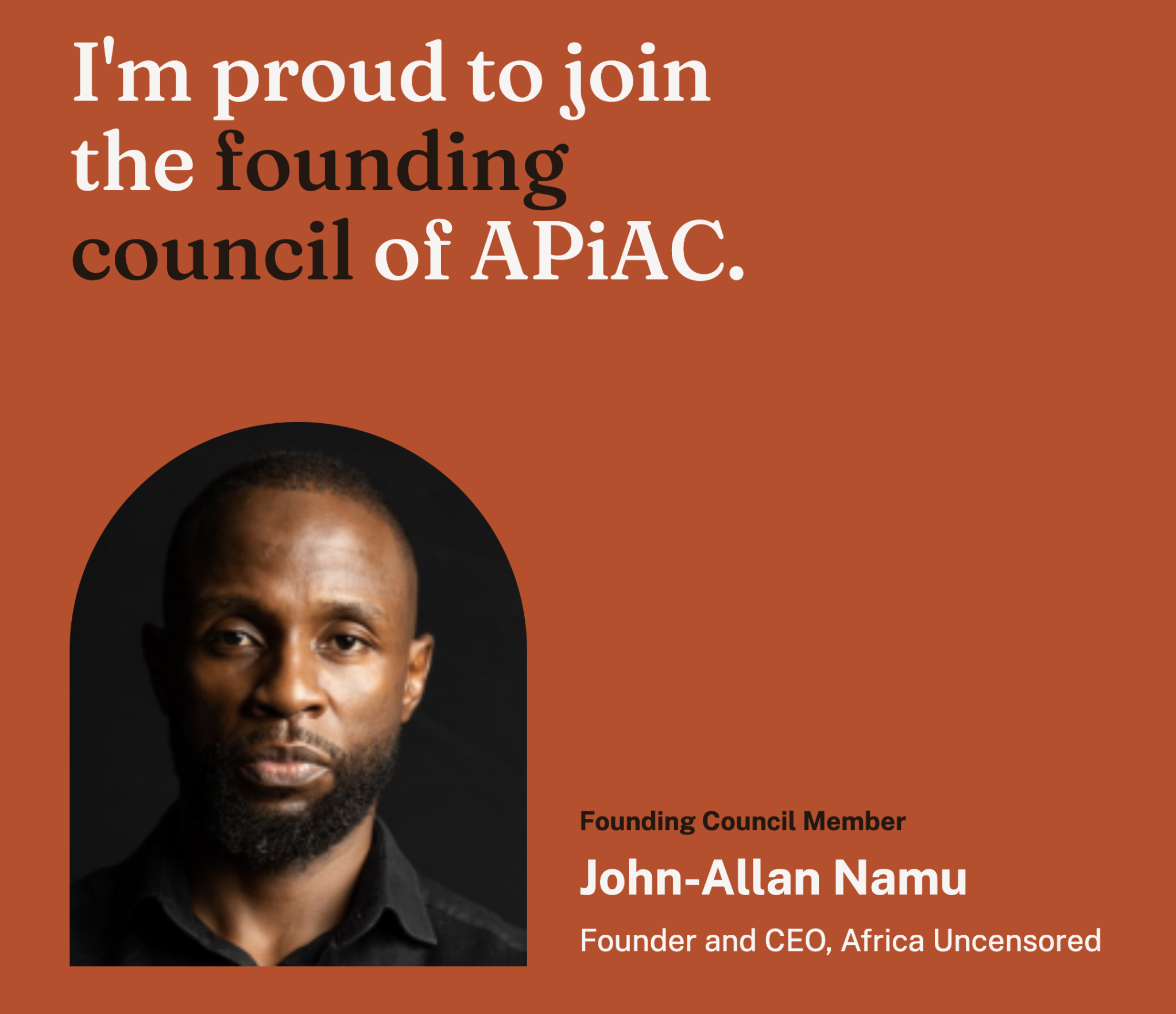 New Africa AI Council to scrutinise technology policies ahead of 2027 elections